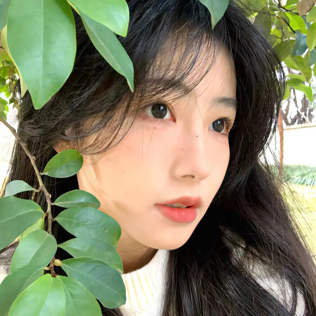 权力界